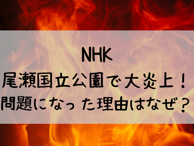 NHK 尾瀬国立公園 大炎上